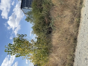 Vand teren Craiova, 3611mp, in fata Fabrica de Avioane partea dreapta, zona industrială, aparține P - imagine 9