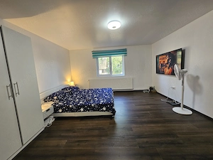 Casa pe 3.3ha teren! - imagine 3