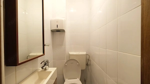 Vanzare apartament 3 camere renovat,mobilat etaj intermediar langa Cismigiu  - imagine 14