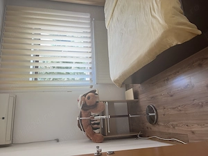  Apartament cu 2 camere de închiriat   Aleea Sănătății nr. 7, Timișoara - imagine 8