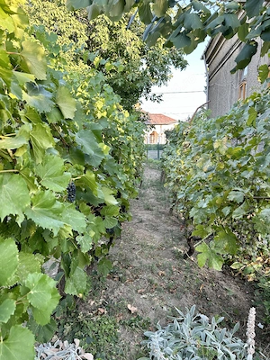 Vila cu arhitectura italiana din 1914   Ramnicu Sarat, Str. Pacii   Str. Lalelelor - imagine 10