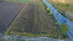 Teren extravilan 7.100 mp în Șcheia, aproape de DN17 - imagine 2