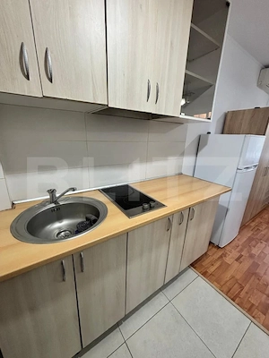 Apartament cu o camera - 22 mp | Lipovei | 270 euro - imagine 4