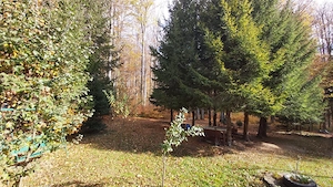 Vanzare casa la munte direct langa padure in Cheia judetul Prahova  - imagine 3
