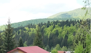 Vanzare casa la munte direct langa padure in Cheia judetul Prahova  - imagine 8