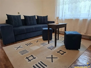 Apartament 2 camere, intr-o zona cu pomi seculari si parcuri, cartierul Astra, Brasov - imagine 8
