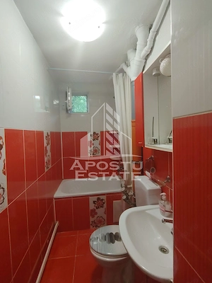 Apartament cu 3 camere de închiriat - Zona Ultra Centrala Timisoara - imagine 11