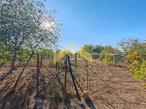 Casa la sol de vanzare in Bodrogu Nou - imagine 2