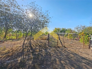 Casa la sol de vanzare in Bodrogu Nou - imagine 14