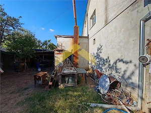 Casa la sol de vanzare in Bodrogu Nou - imagine 13