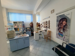 SPAȚIU COMERCIAL DE VÂNZARE SAU ÎNCHIRIERE – BURDUJENI, SUCEAVA - imagine 20