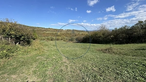🏡 Teren intravilan de vânzare - 4.443 mp, parcelat în 5 loturi 