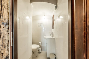 Spatiu comercial cu intrare din strada, fatada in curs de renovare - imagine 6