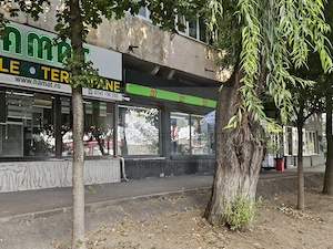 Spațiu comercial 140 mp | Craiovița Nouă – George Enescu - imagine 4