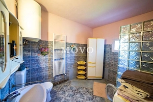 EXCLUSIVITATE – Comision 0% | Casa spatioasa | Santana - Arad - imagine 10