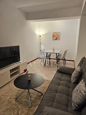 Apartament cu 2 camere , Pet friendly, complex Ring