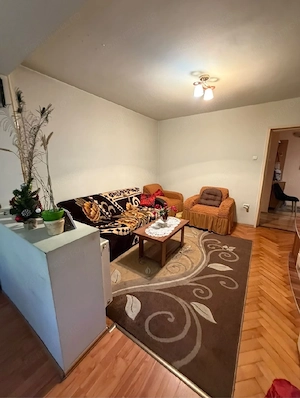 De vanzare apartament 2 camere zona Splaiul Crisanei  - imagine 8
