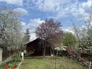 Proprietate premium Delta Dunării, Mahmudia   1700 mp curte, la cheie - imagine 10