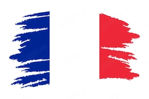 Cursuri de franceză generală și de specialitate 
