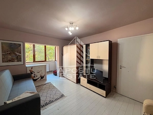 Apartament cu 2 camere de inchiriat, Complexul Studentesc, Timisoara - imagine 4