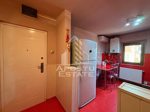 Apartament cu 2 camere de inchiriat, Complexul Studentesc, Timisoara - imagine 7