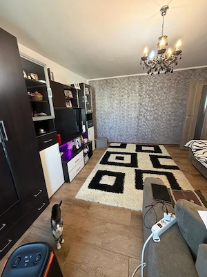Apartament 2 camere decomandat, 65 mp, zona 1 Mai - imagine 7