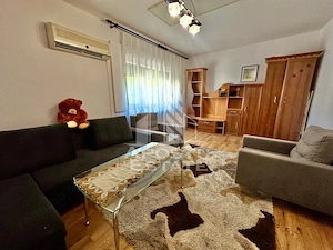 Apartament de inchiriat, 2 camere, pet friendly,  Zona Aradului - imagine 5