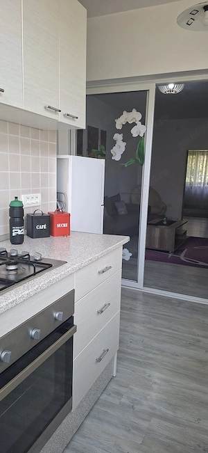 Olimpia - Stadion de inchiriat apartamet cu 2 camere lux - imagine 9