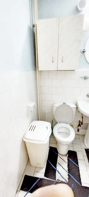 : Zona Banat, aproape de Complexul Studentesc - De închiriat garsonieră la etajul doi - 1300 lei - imagine 3
