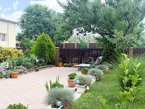 Afacere + Proprietate de VÂNZARE | Scornicesti   PISCANI | COMISION 0% - imagine 2