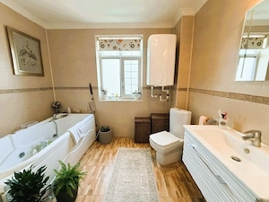Afacere + Proprietate de VÂNZARE | Scornicesti   PISCANI | COMISION 0% - imagine 7