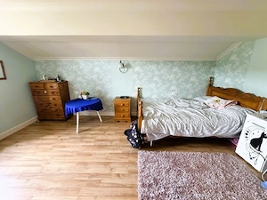 Afacere + Proprietate de VÂNZARE | Scornicesti   PISCANI | COMISION 0% - imagine 13