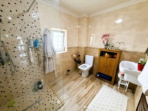 Afacere + Proprietate de VÂNZARE | Scornicesti   PISCANI | COMISION 0% - imagine 12