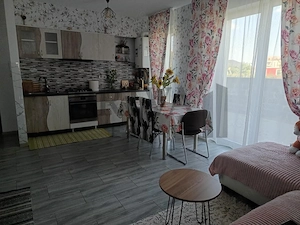 Apartament mobilat 2 camere, 53 mp, parter, parcare, Calea Urseni - imagine 3