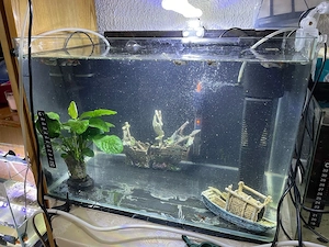 Acvariu 50 litri  - imagine 2