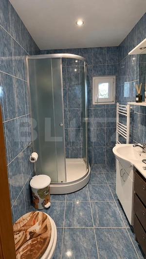 Casa de vanzare, 231 mp, zona Central - Orastie - imagine 19