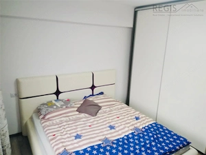 Apartament 4 camere  | 2 bai | Vedere spre munte | Racadau - imagine 5