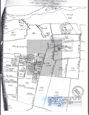 Teren 500mp intravilan Mogosesti / Adunatii Copaceni - Giurgiu - imagine 3