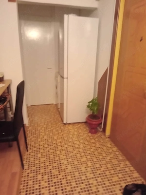 vand ap 2 camere cocosvar - imagine 3