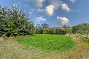 Casă interbelică + 3.060 mp intravilan, Trifești, 7,9 km de Roman - imagine 8