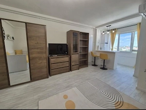 Comision 0% Apartament cu 1 cameră, complet renovat | Bd. Take Ionescu | - imagine 4