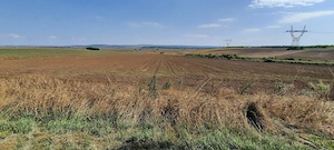 Teren 6100mp extravilan Bogdan-Voda centura Bacau-E85-A7 - imagine 3