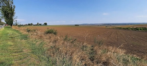 Teren 6100mp extravilan Bogdan-Voda centura Bacau-E85-A7 - imagine 2