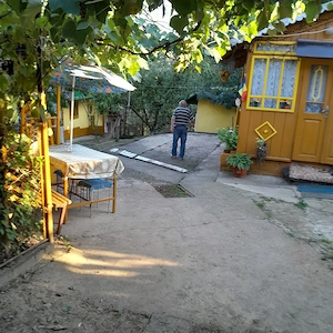 Casă bătrânească de vânzare + 6700 mp, Cozia, jud. Iași - imagine 9