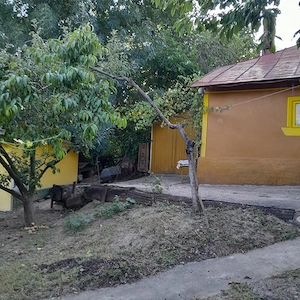 Casă bătrânească de vânzare + 6700 mp, Cozia, jud. Iași - imagine 5
