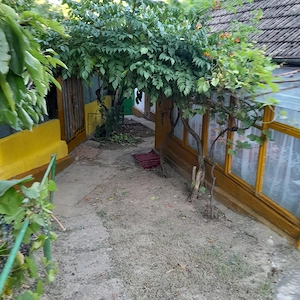 Casă bătrânească de vânzare + 6700 mp, Cozia, jud. Iași - imagine 3