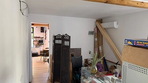TitulescuBanuMantaDrFelixVictoriei2spatii(28mp+16mp)+curte20mpScarlatescu27-29Proprietar - imagine 5