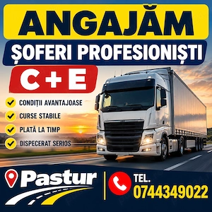 Sofer permis categoria C + E 