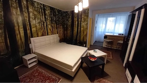 bercen turnu magurele parter - imagine 3