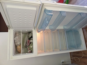 Frigider arctic